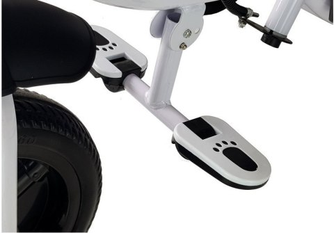 Rower Trójkołowy PRO300 Fioletowy LEAN Toys Rower Trójkołowy PRO300 Fioletowy LEAN Toys