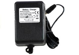 Ładowarka do Aut na Akumulator 12V 1000mA LEAN CARS