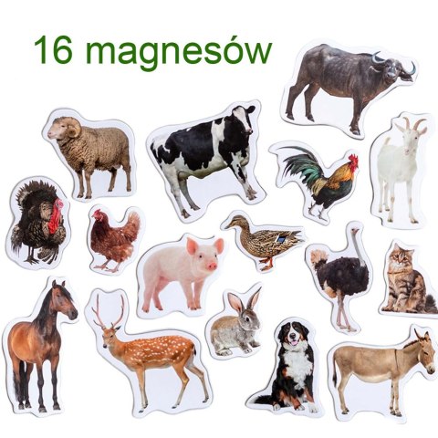 Zestaw Magnesów Farma MV 6032-04 Marka niezdefiniowana Zestaw Magnesów Farma MV 6032-04 Marka niezdefiniowana