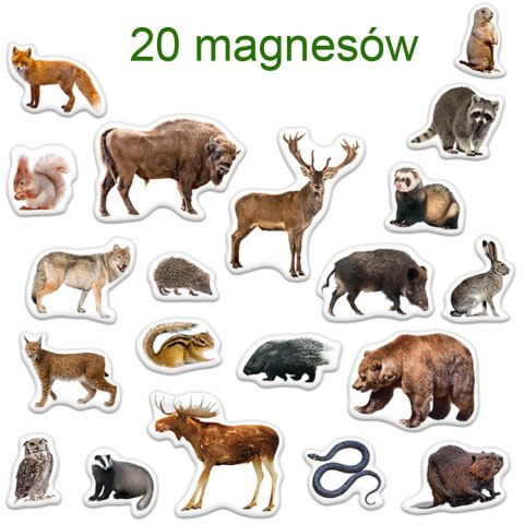Zestaw Magnesów Mieszkańcy Lasu MV 6032-09 Marka niezdefiniowana Zestaw Magnesów Mieszkańcy Lasu MV 6032-09 Marka niezdefiniowana