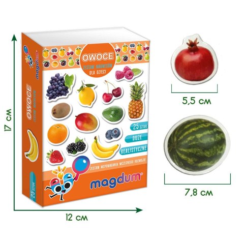 Zestaw Magnesów Owoce MV 6032-11 Marka niezdefiniowana Zestaw Magnesów Owoce MV 6032-11 Marka niezdefiniowana