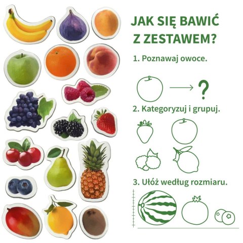 Zestaw Magnesów Owoce MV 6032-11 Marka niezdefiniowana Zestaw Magnesów Owoce MV 6032-11 Marka niezdefiniowana