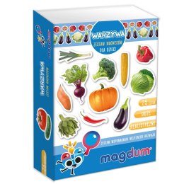 Zestaw Magnesów Warzywa MV 6032-12 Marka niezdefiniowana