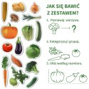 Zestaw Magnesów Warzywa MV 6032-12 Marka niezdefiniowana