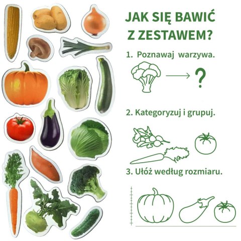 Zestaw Magnesów Warzywa MV 6032-12 Marka niezdefiniowana Zestaw Magnesów Warzywa MV 6032-12 Marka niezdefiniowana