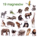 Zestaw Magnesów Zoo MV 6032-02 Marka niezdefiniowana