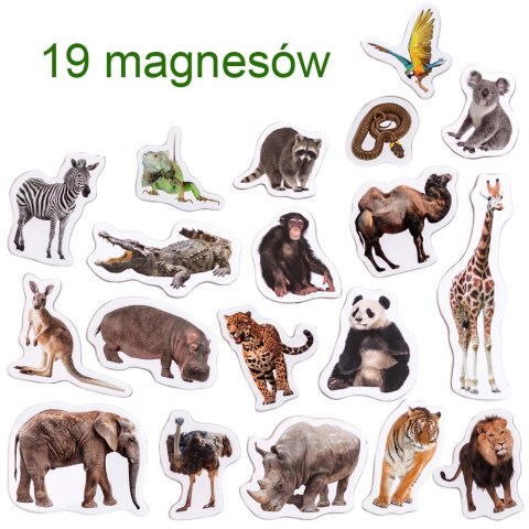 Zestaw Magnesów Zoo MV 6032-02 Marka niezdefiniowana Zestaw Magnesów Zoo MV 6032-02 Marka niezdefiniowana
