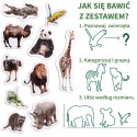 Zestaw Magnesów Zoo MV 6032-02 Marka niezdefiniowana