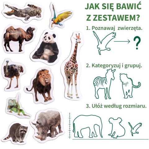 Zestaw Magnesów Zoo MV 6032-02 Marka niezdefiniowana Zestaw Magnesów Zoo MV 6032-02 Marka niezdefiniowana