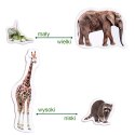 Zestaw Magnesów Zoo MV 6032-02 Marka niezdefiniowana