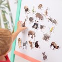 Zestaw Magnesów Zoo MV 6032-02 Marka niezdefiniowana