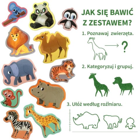Zestaw Magnesów Zoo MV 6032-05 Marka niezdefiniowana Zestaw Magnesów Zoo MV 6032-05 Marka niezdefiniowana