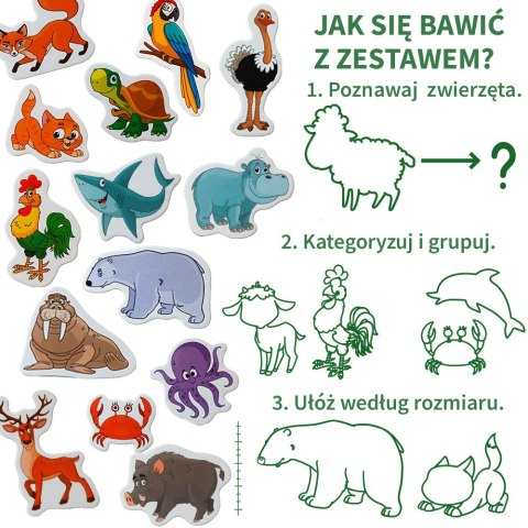 Zestaw Magnesów Zwierzęta 40 sztuk MV 6032-41 Marka niezdefiniowana Zestaw Magnesów Zwierzęta 40 sztuk MV 6032-41 Marka niezdefiniowana