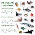 Zestaw Magnesów Zwierzęta Morskie MV 6032-18 Marka niezdefiniowana