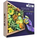 Zestaw kreatywny Wood&Craft DIY Sukulenty - Energia 21x21cm 10009 Marka niezdefiniowana
