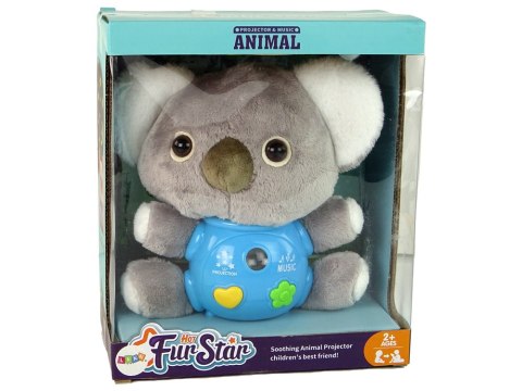 Koala Projektor Dźwięki Zabawka Interaktywna Szara LEAN Toys Koala Projektor Dźwięki Zabawka Interaktywna Szara LEAN Toys