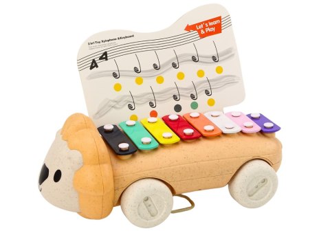 Cymbałki Lew Na Kółkach Instrument Dla Dzieci Kolorowe Edukacyjne LEAN Toys Cymbałki Lew Na Kółkach Instrument Dla Dzieci Kolorowe Edukacyjne LEAN Toys