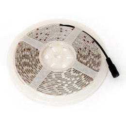 Taśma LED-5050 Abilite b.ciepła 300LED 12V IP65 5m/10mm silikon Inni producenci