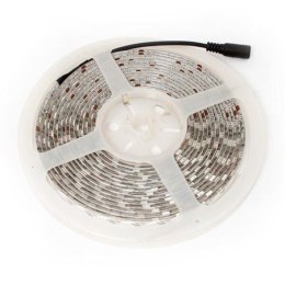 Taśma LED-5050 Abilite b.zimna 300LED 12V IP65 5m/10mm silikon Inni producenci