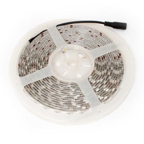 Taśma LED-5050 Abilite b.zimna 300LED 12V IP65 5m/10mm silikon Inni producenci