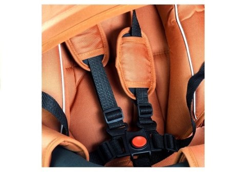 Rower Trójkołowy PRO700 Miedziany LEAN Toys