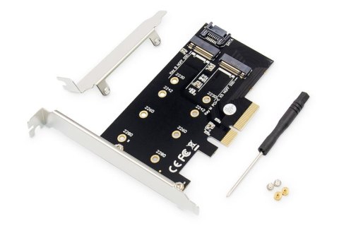 Karta rozszerzeń (Kontroler) DIGITUS M.2 NGFF/NVMe SSD PCIe 3.0 SATA 80, 60, 42, 30 mm Digitus Karta rozszerzeń (Kontroler) DIGITUS M.2 NGFF/NVMe SSD PCIe 3.0 SATA 80, 60, 42, 30 mm Digitus