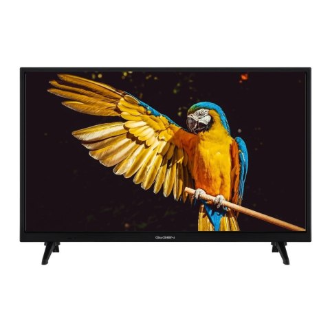 Telewizor GoGEN TVH24A336 24" GoGEN
