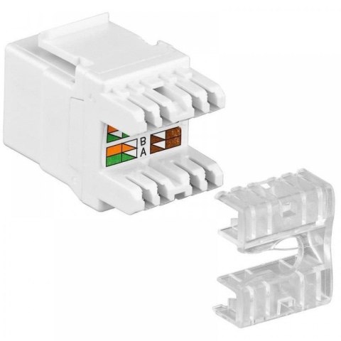 Moduł Keystone Intellinet RJ45 UTP LSA Cat.5e biały Intellinet
