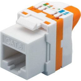 Moduł Keystone Techly RJ45 U/UTP Cat.6 samozaciskowy biały Techly