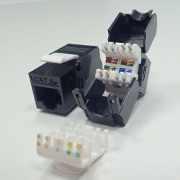 Moduł keystone Jack RJ45 kat. 5e UTP, beznarzędziowy Netrack NETRACK
