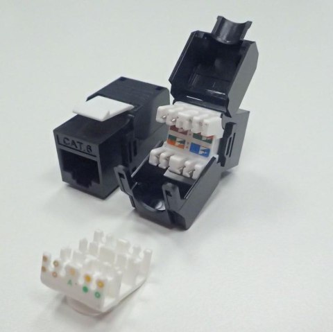 Moduł keystone Jack RJ45 kat. 6A UTP, beznarzędziowy Netrack NETRACK Moduł keystone Jack RJ45 kat. 6A UTP, beznarzędziowy Netrack NETRACK