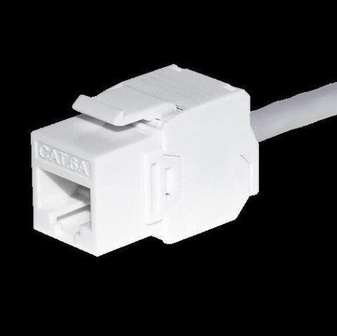 Moduł keystone Jack RJ45 kat. 6A UTP, beznarzędziowy, biały Netrack NETRACK Moduł keystone Jack RJ45 kat. 6A UTP, beznarzędziowy, biały Netrack NETRACK