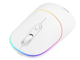 Mysz bezprzewodowa Tracer RATERO RF optyczna nano biała z akumulatorem Tracer