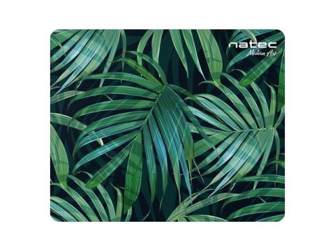 Podkładka pod mysz FOTO Natec Modern Art - Palm tree 220x180mm Natec Podkładka pod mysz FOTO Natec Modern Art - Palm tree 220x180mm Natec