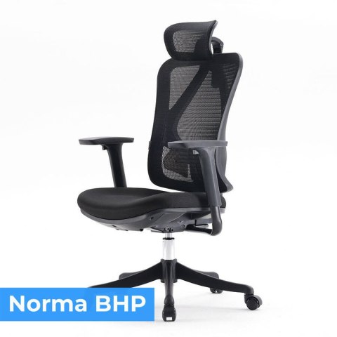 Fotel ergonomiczny ANGEL biurowy obrotowy Europa 2.0 ANGEL Fotel ergonomiczny ANGEL biurowy obrotowy Europa 2.0 ANGEL